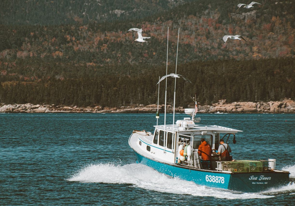lobsterboatbarharbor